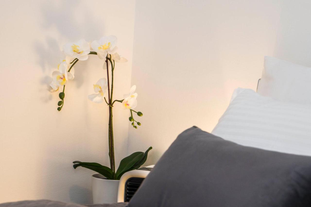 Apartment Summer Dreams Сплит Экстерьер фото